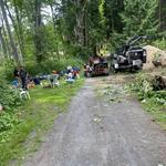 Earthworks Tree Service - photo 1