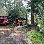 Earthworks Tree Service - photo 10