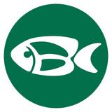 Carolina Bible Camp & Retreat Center - Summer Camps in Mocksville