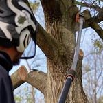 Challengers Tree Service - photo 1