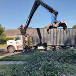 Challengers Tree Service - photo 2