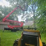Challengers Tree Service - photo 3