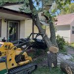 Challengers Tree Service - photo 4