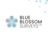 Blue Blossom Surveys Ltd - Building Surveyors in Peterborough