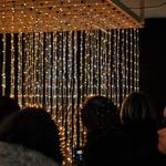 Sapien Lighting LLC - photo 5