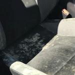 Car Mold Guys - photo 5