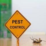 Bed Bugs Eliminator, Inc. - Pest Control in Oakland Park