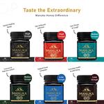 Sunhighland - photo 6