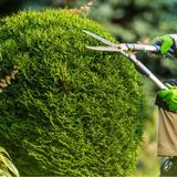 Brothers Cisco Tree Service LLC - Nurseries & Gardening in Penn Valley