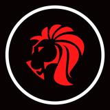 DNP Marketing Ltd - Marketing in Hamilton