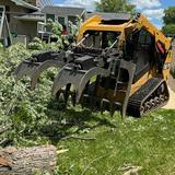 Tree Sixty Tree Service - Tree Services in Norwalk