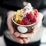 yoguverse - Desserts in Shellharbour