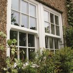 Beautiful Timber-Alternative - photo 4