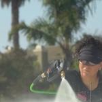 Detail Chicks - photo 1