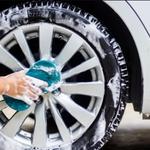 Detail Chicks - photo 3