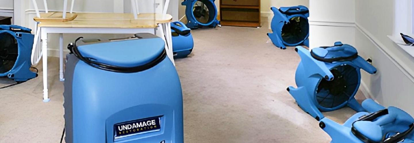 Undamage Restoration cover photo