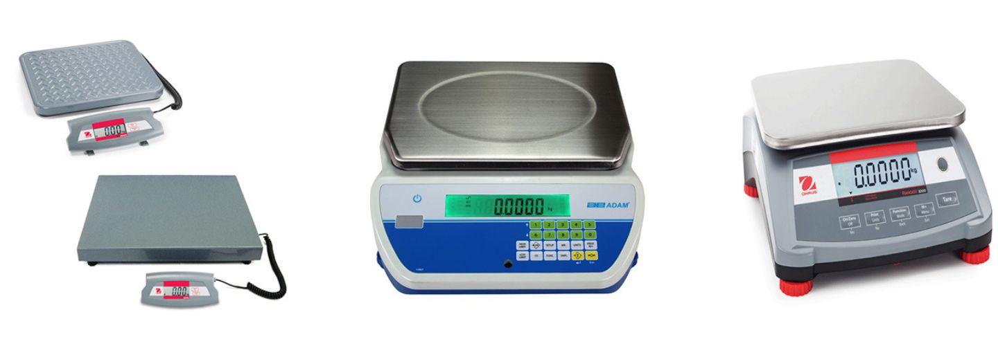 Scales and Balances cover photo