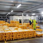 Advanced Climate Rentals - photo 4