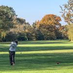 Stock Brook Manor - photo 1