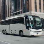 Charter Bus Rental Company League City - photo 2