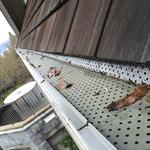 Capstone Gutter Cleaning - photo 4