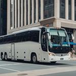 Charter Bus Rental Company Macon - photo 2