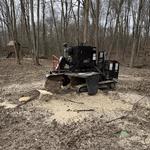 Roubic Tree Service LLC - photo 7