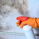 Scottsdale Water Restoration Pros - photo 1