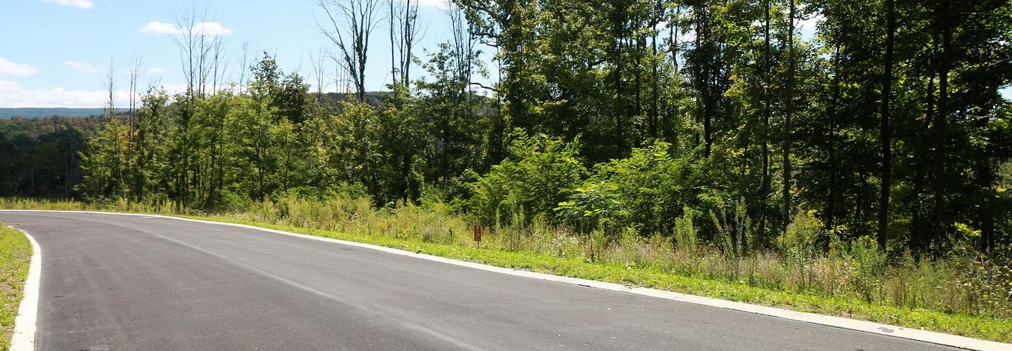 Allegany Coal and Land Co. cover photo