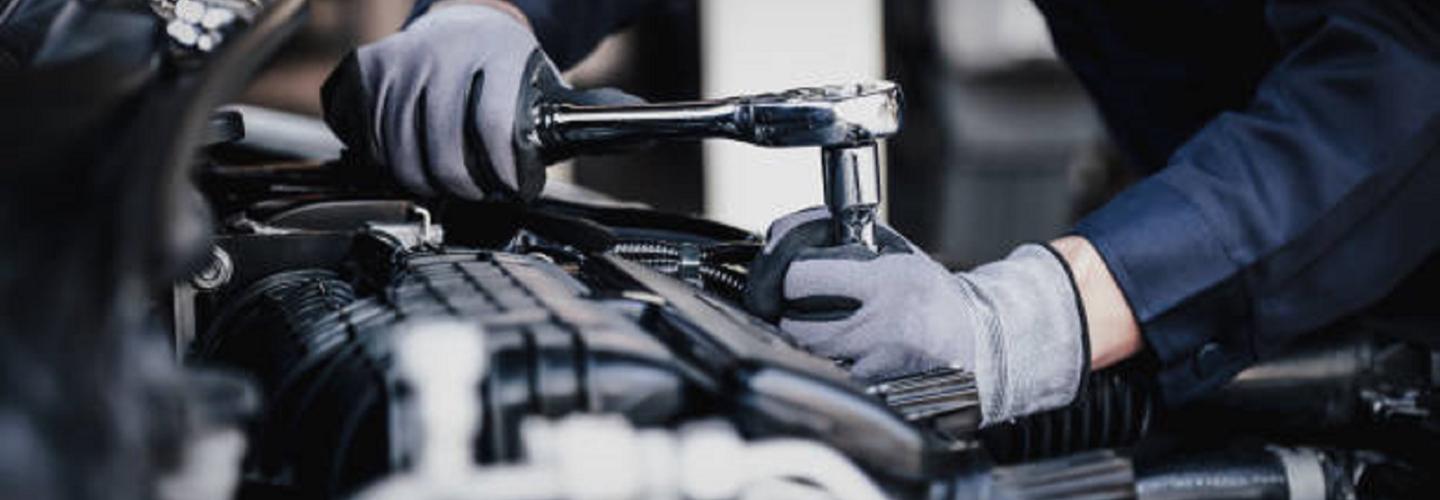 California Auto Body cover photo