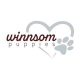 Winnsom Puppies - Pet Stores in Honey Brook