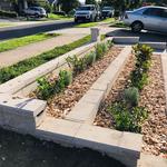 Local landscaping & fencing pty Ltd - photo 6