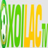 naacptheatreawards.com fake