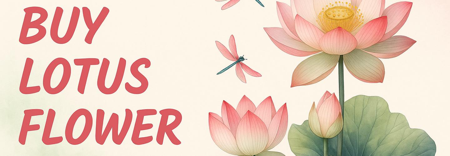 Lotus Flower 365 cover photo