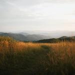 LuxNeuro - Neurofeedback & Counseling - photo 3