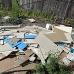 Dad Bod Junk Removal - photo 3