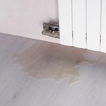 Rancho Cucamonga Restoration Pros - photo 2