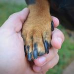 My Pookie's Spaw - photo 1