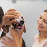 My Pookie's Spaw - photo 2