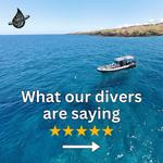 Liquid Cosmos Divers - photo 1