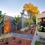 Rice and construct developments - photo 7