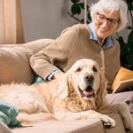 Vista Home Support - photo 1