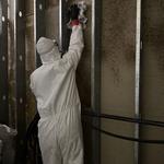 Regal Restoration - photo 2