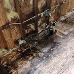 Regal Restoration - photo 7