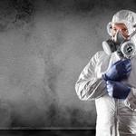 Regal Restoration - photo 10