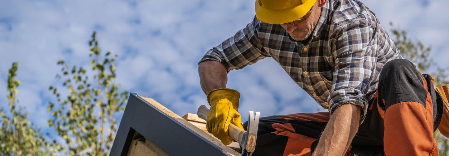 That Roof Dude cover photo