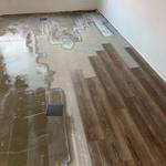 Greenlight Restoration - photo 2