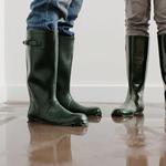 Greenlight Restoration - photo 4