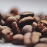 Blue Arrow Coffee Roasters - photo 3