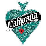 California Ink - Tattoo in Kathu